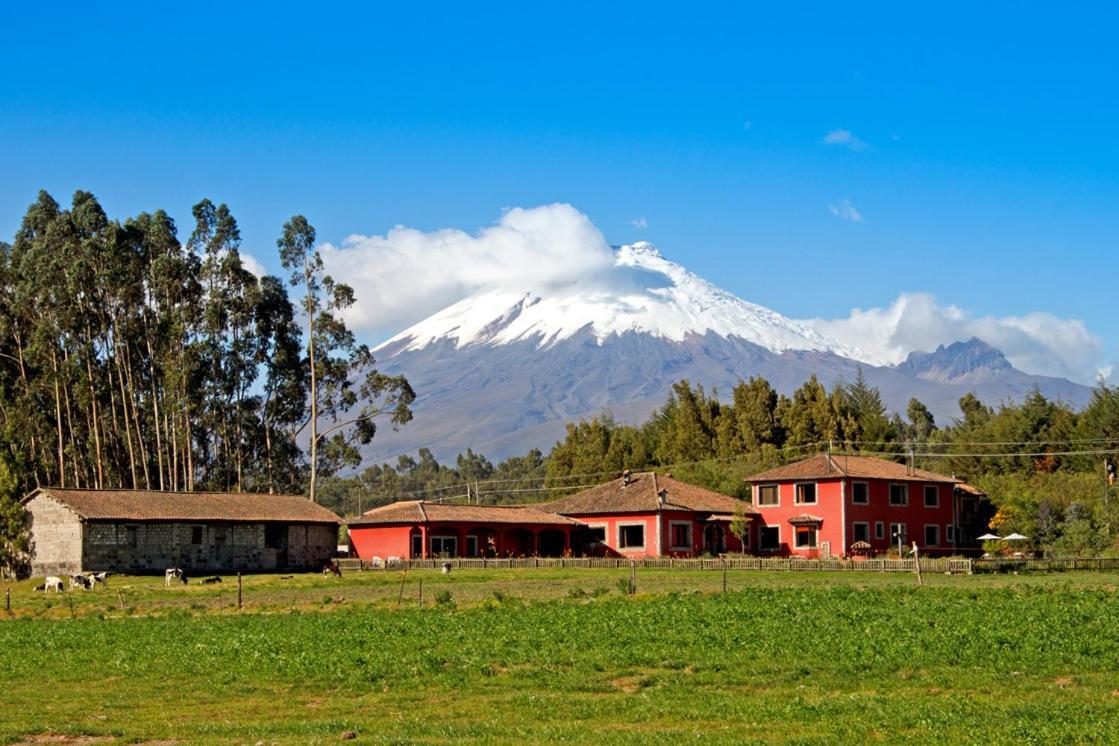Hacienda Hato Verde Mulaló Kültér fotó